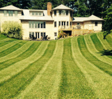 Lawn Care